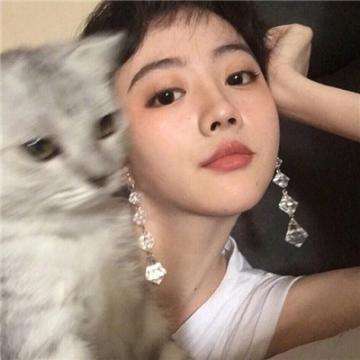 神龙战争中文破解版下载